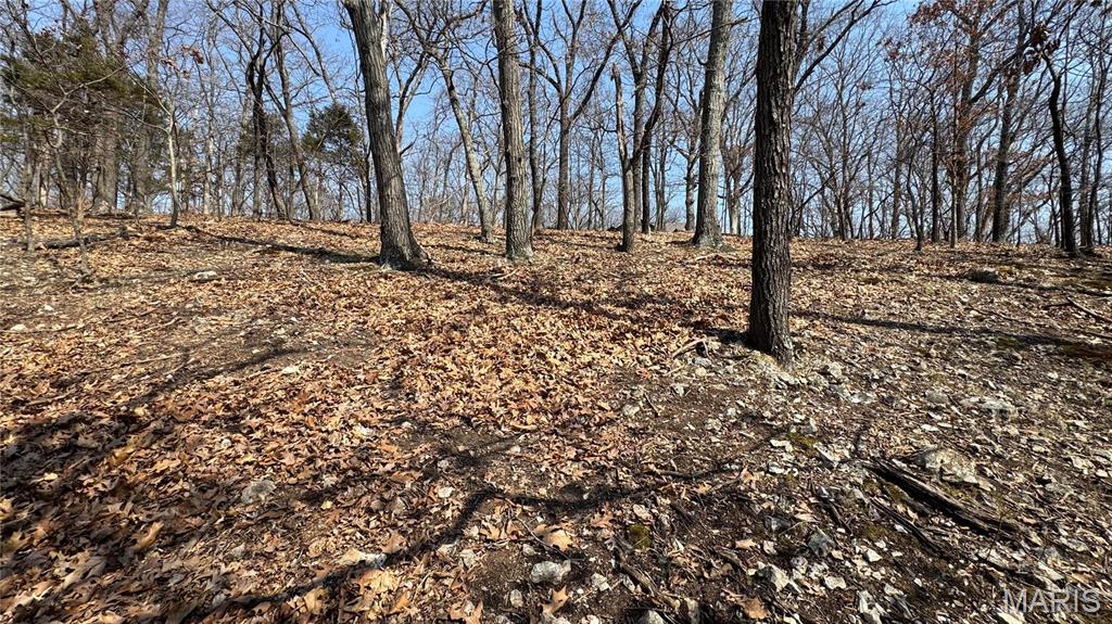 3357 Johns Cabin Road Property Photo 19
