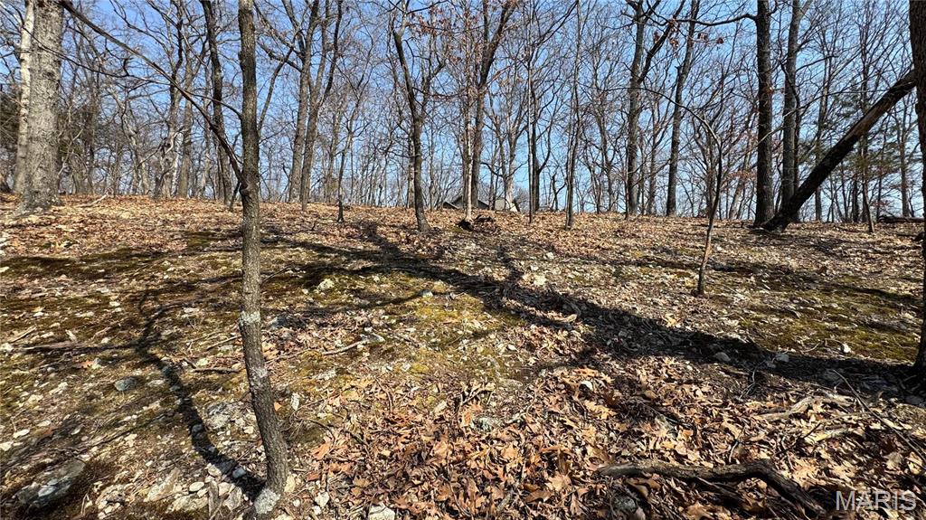 3357 Johns Cabin Road Property Photo 21
