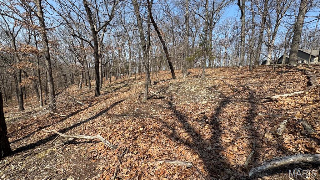 3357 Johns Cabin Road Property Photo 22