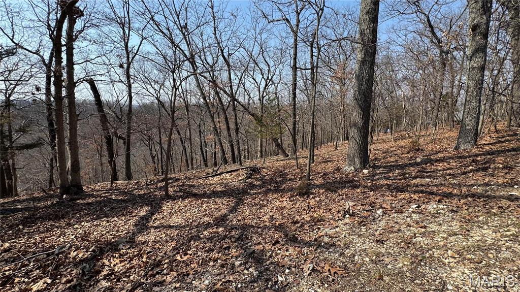 3357 Johns Cabin Road Property Photo 23