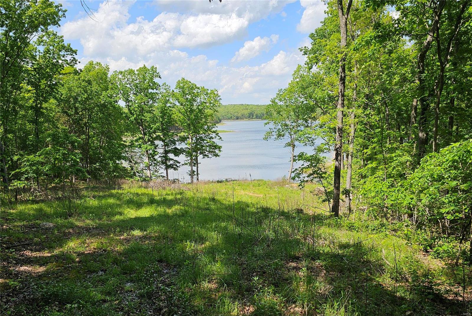 22 Acres Off Hwy 47 Property Photo 7