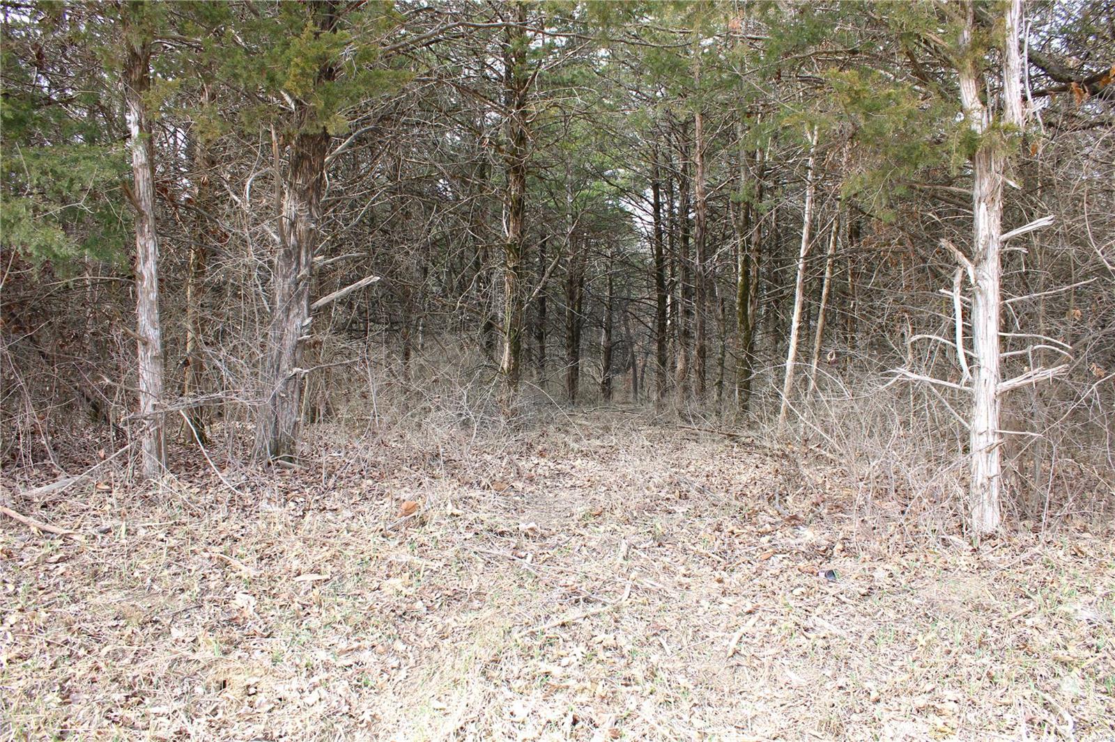 4 Monroe Road 875 Property Photo