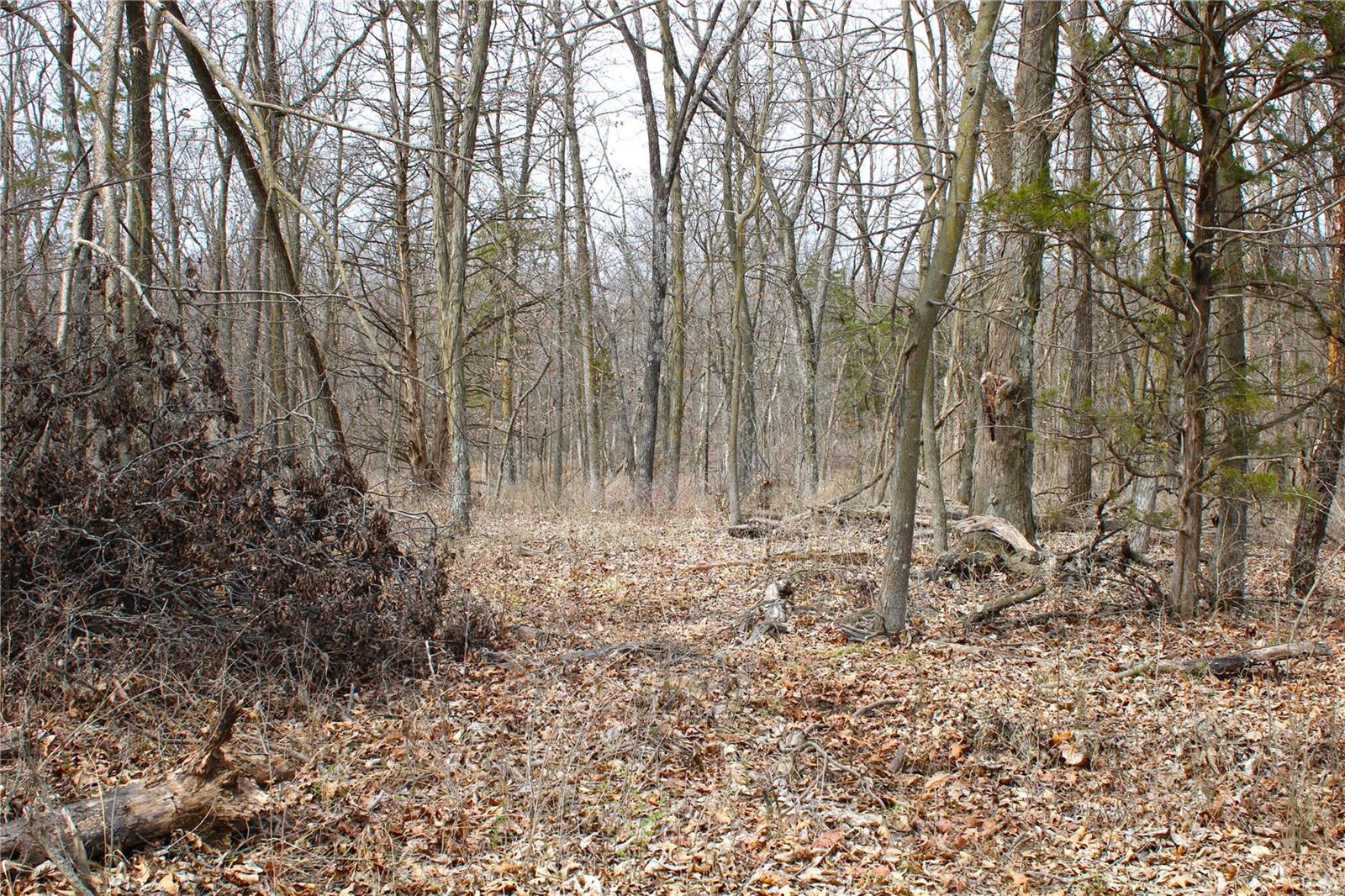 5 Monroe Road 875 Property Photo