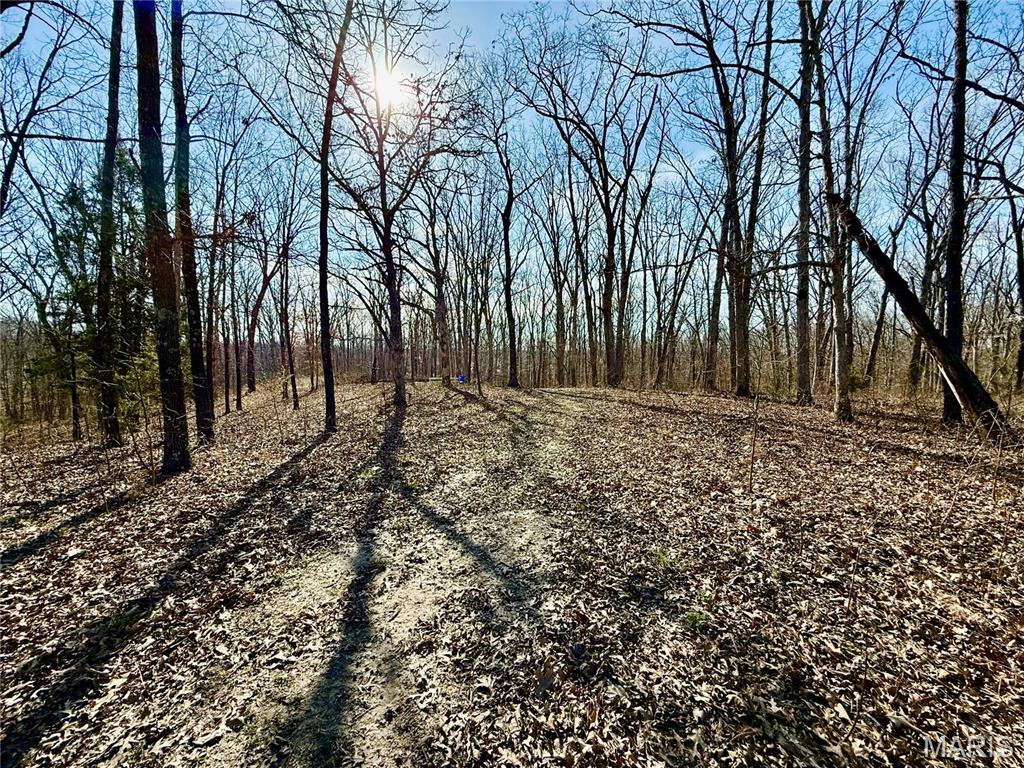22501 Tall Oaks Road Property Photo 10