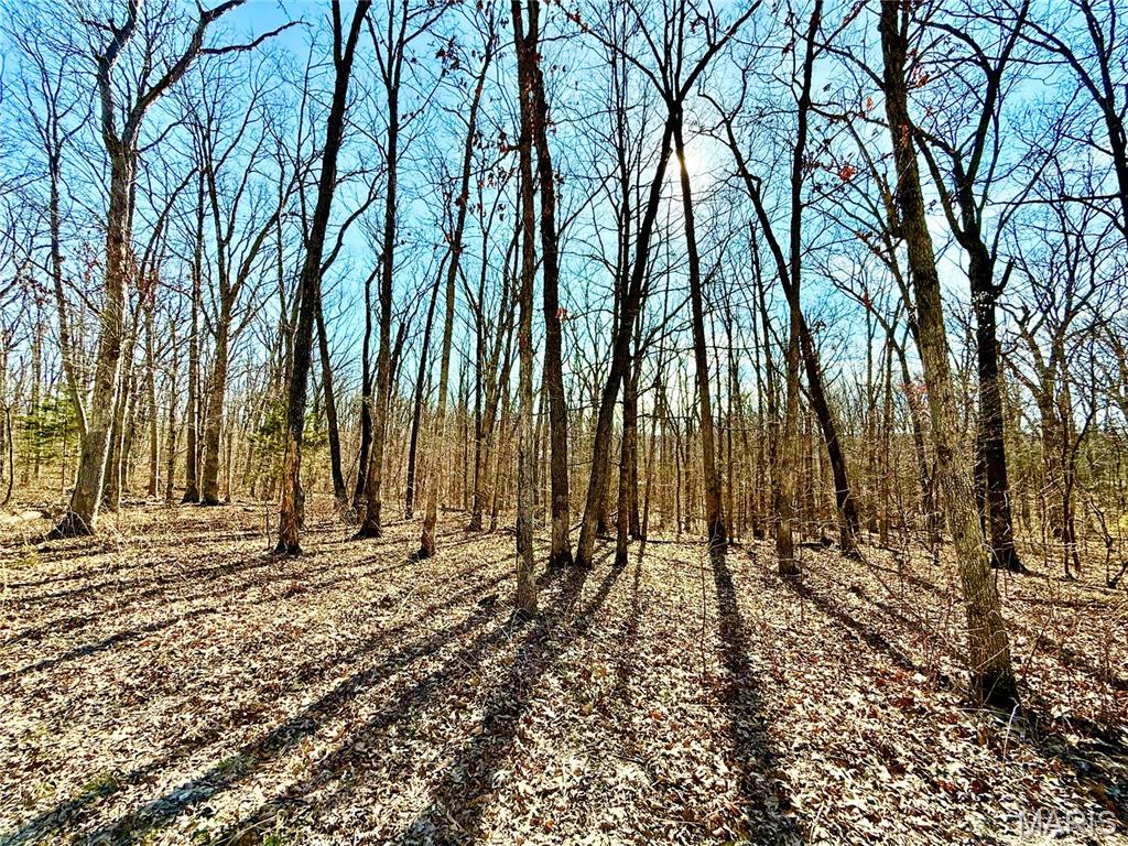 22501 Tall Oaks Road Property Photo 14