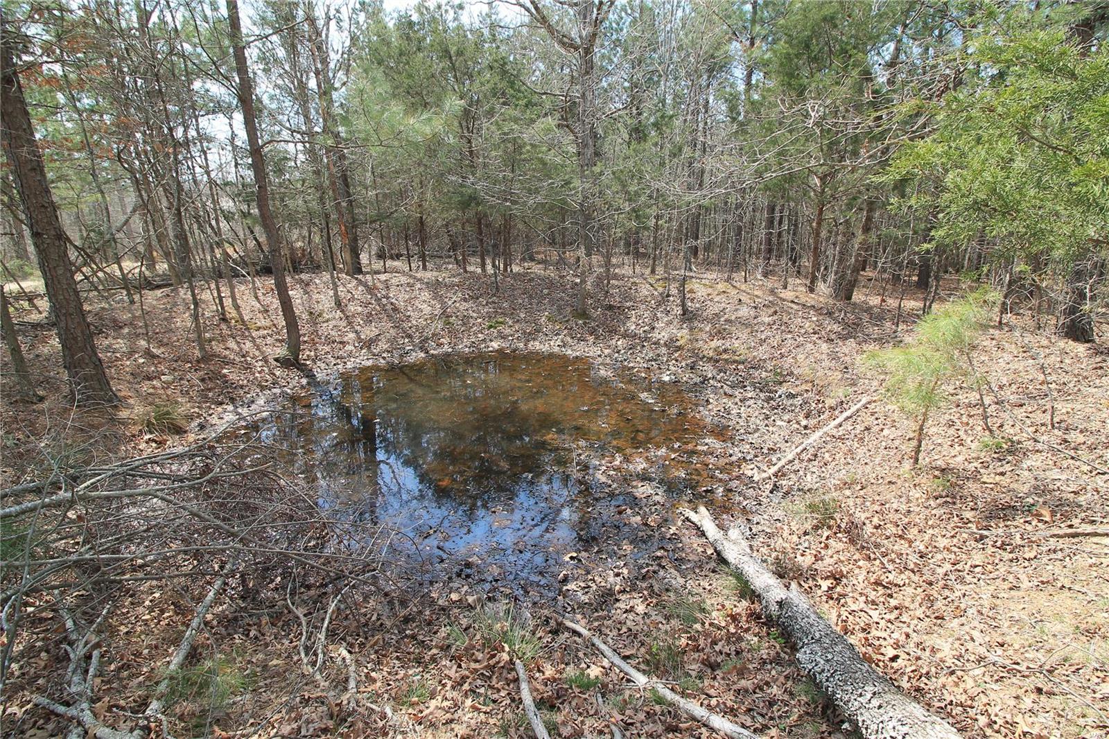 0 Madison Cr 411 (130) 130 Property Photo 10