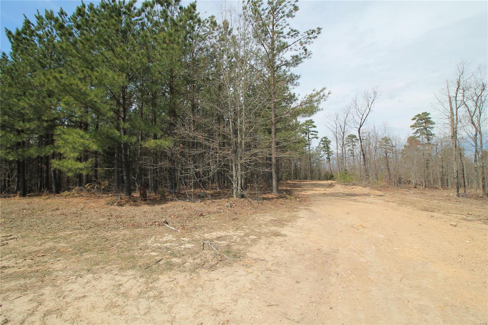 0 Madison Cr 411 (130) 130 Property Photo 14