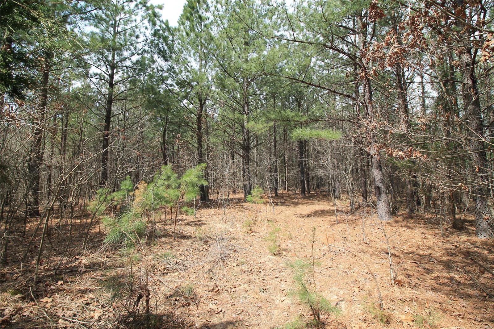 0 Madison Cr 411 (130) 130 Property Photo 16