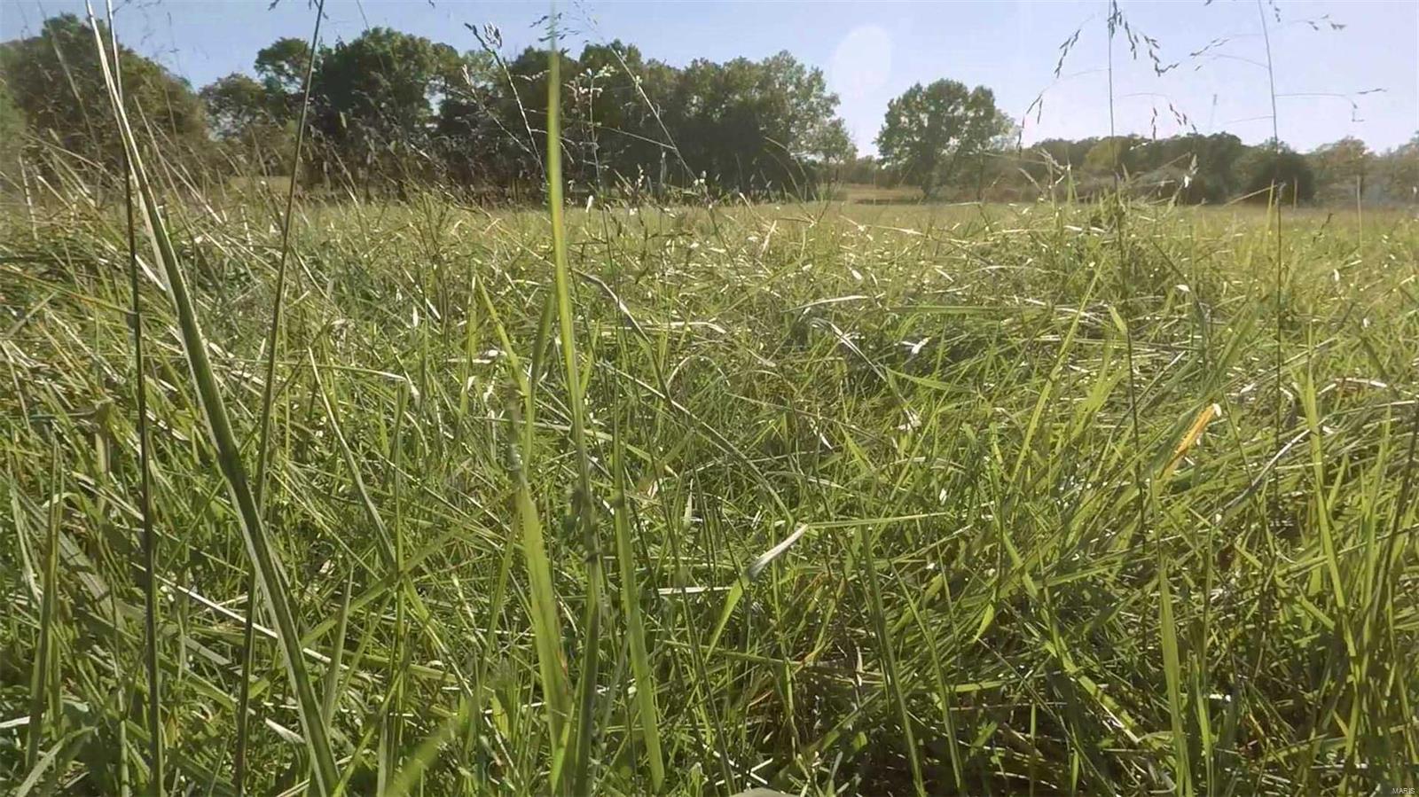 0 Hwy 72/county Road 4080 Property Photo 18