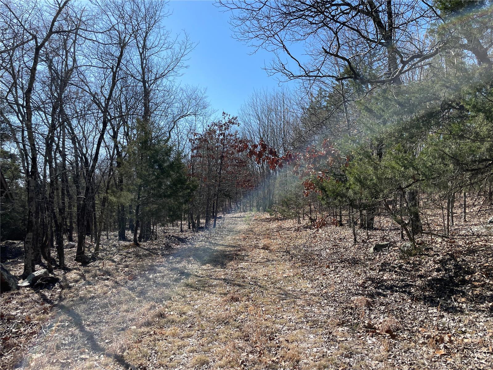 0 County Road 349a Property Photo