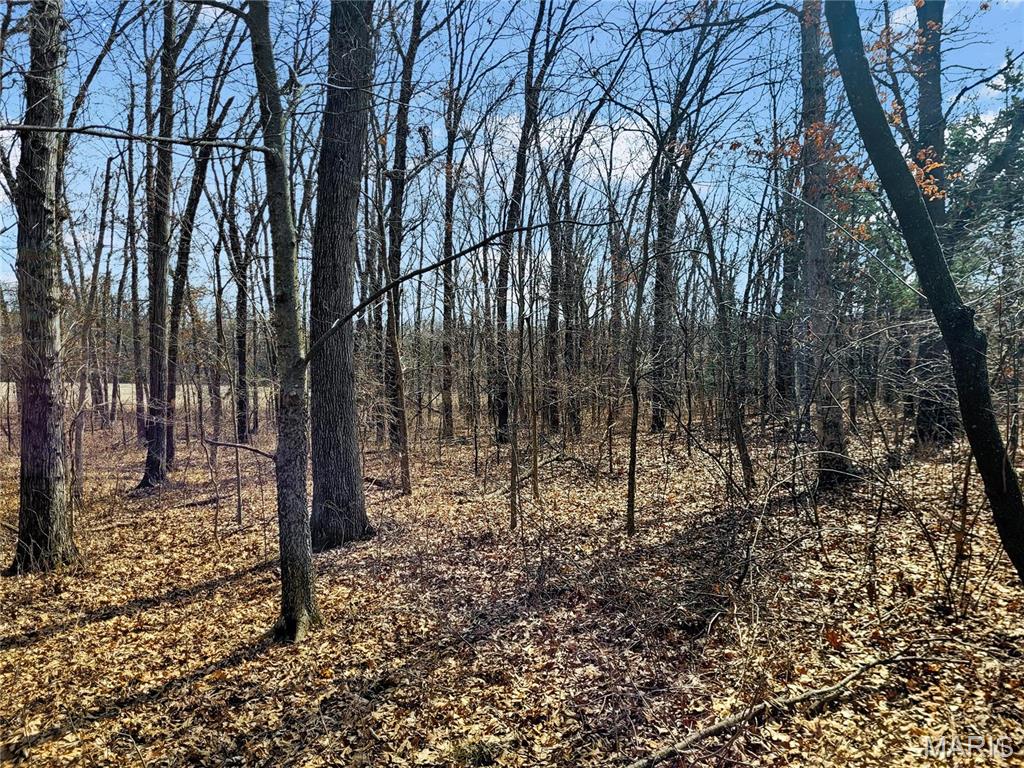762 Cave Farm Road Property Photo 34
