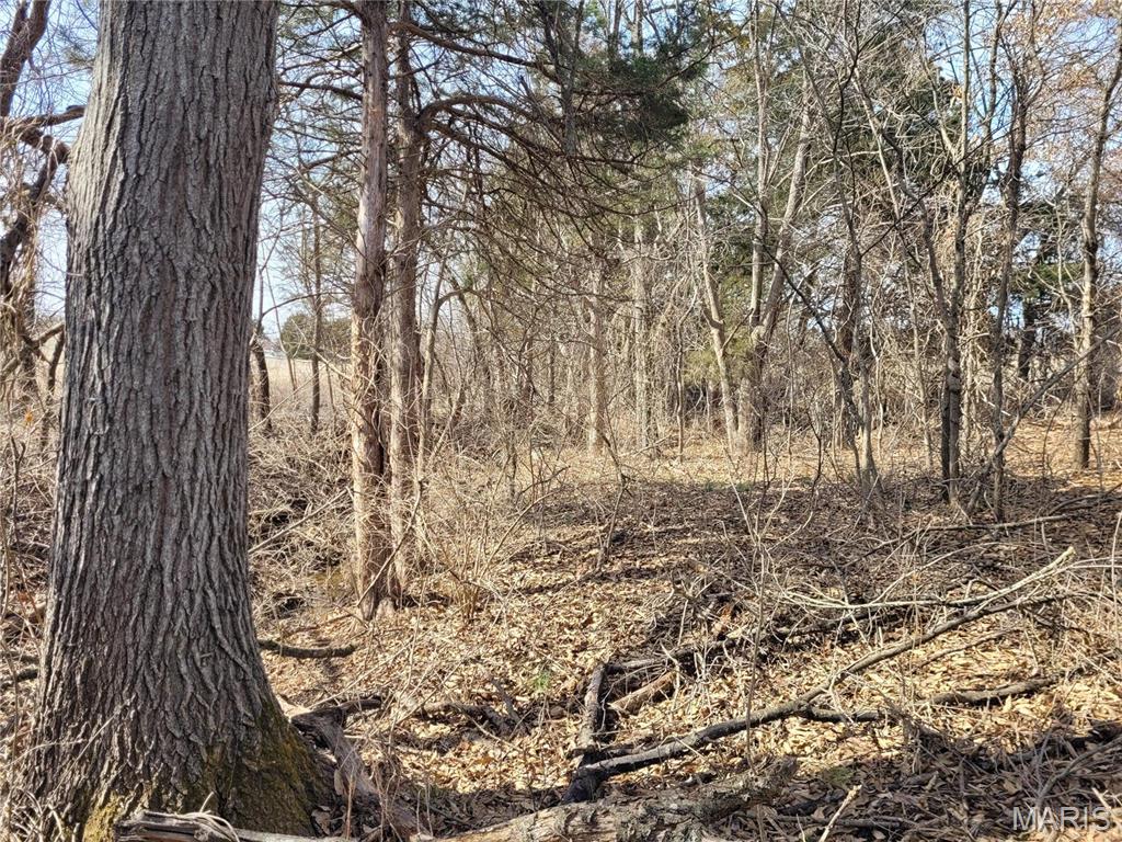 762 Cave Farm Road Property Photo 35