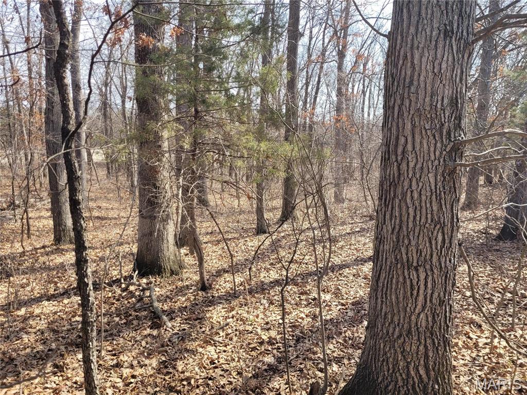 762 Cave Farm Road Property Photo 36