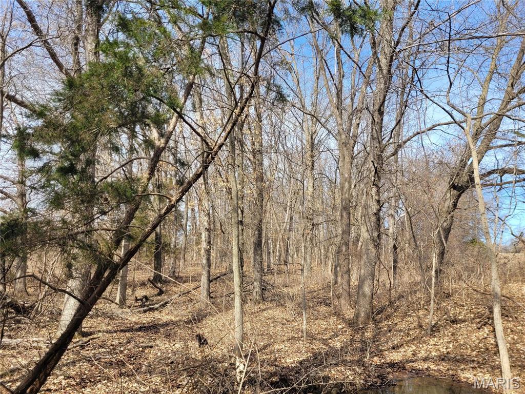 762 Cave Farm Road Property Photo 37
