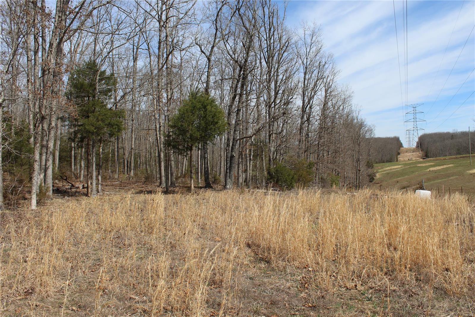 12 Berryman Cutoff Property Photo 4