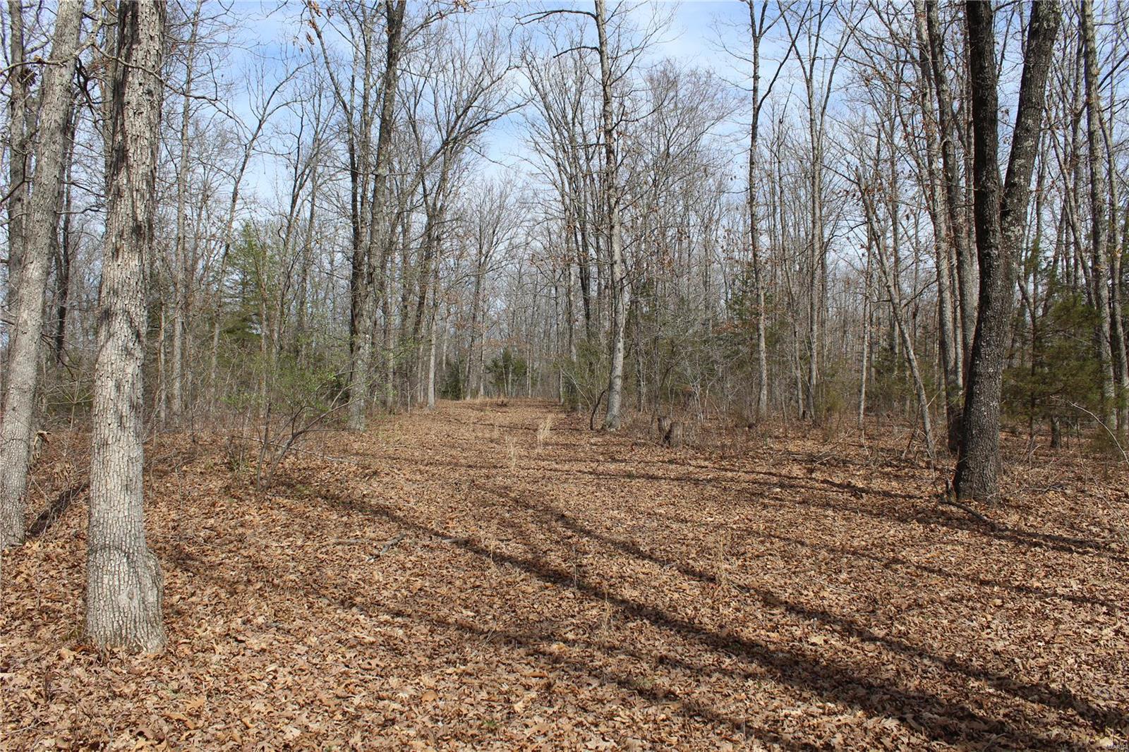 12 Berryman Cutoff Property Photo 5