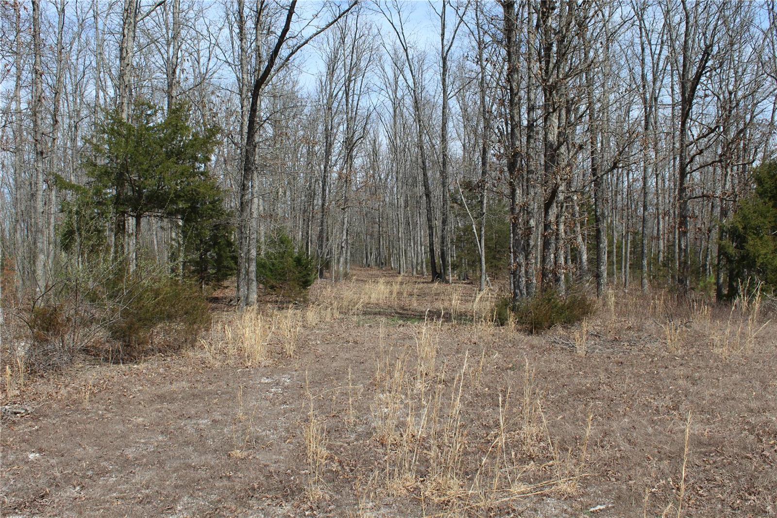 12 Berryman Cutoff Property Photo 6