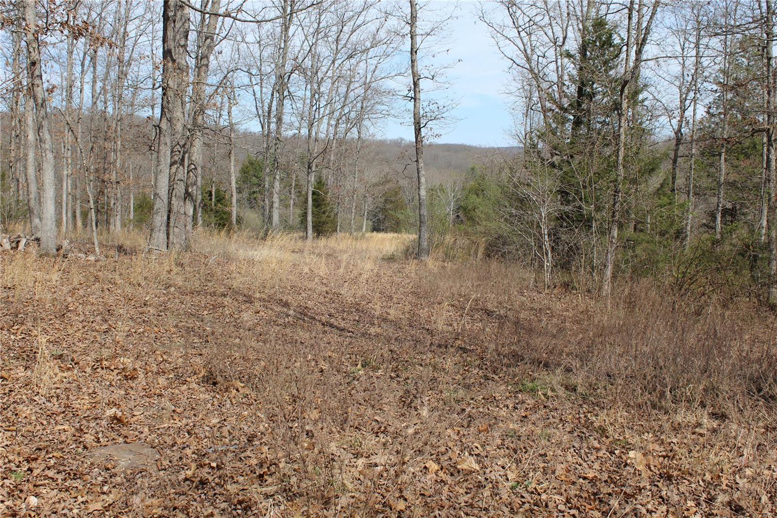 12 Berryman Cutoff Property Photo 7