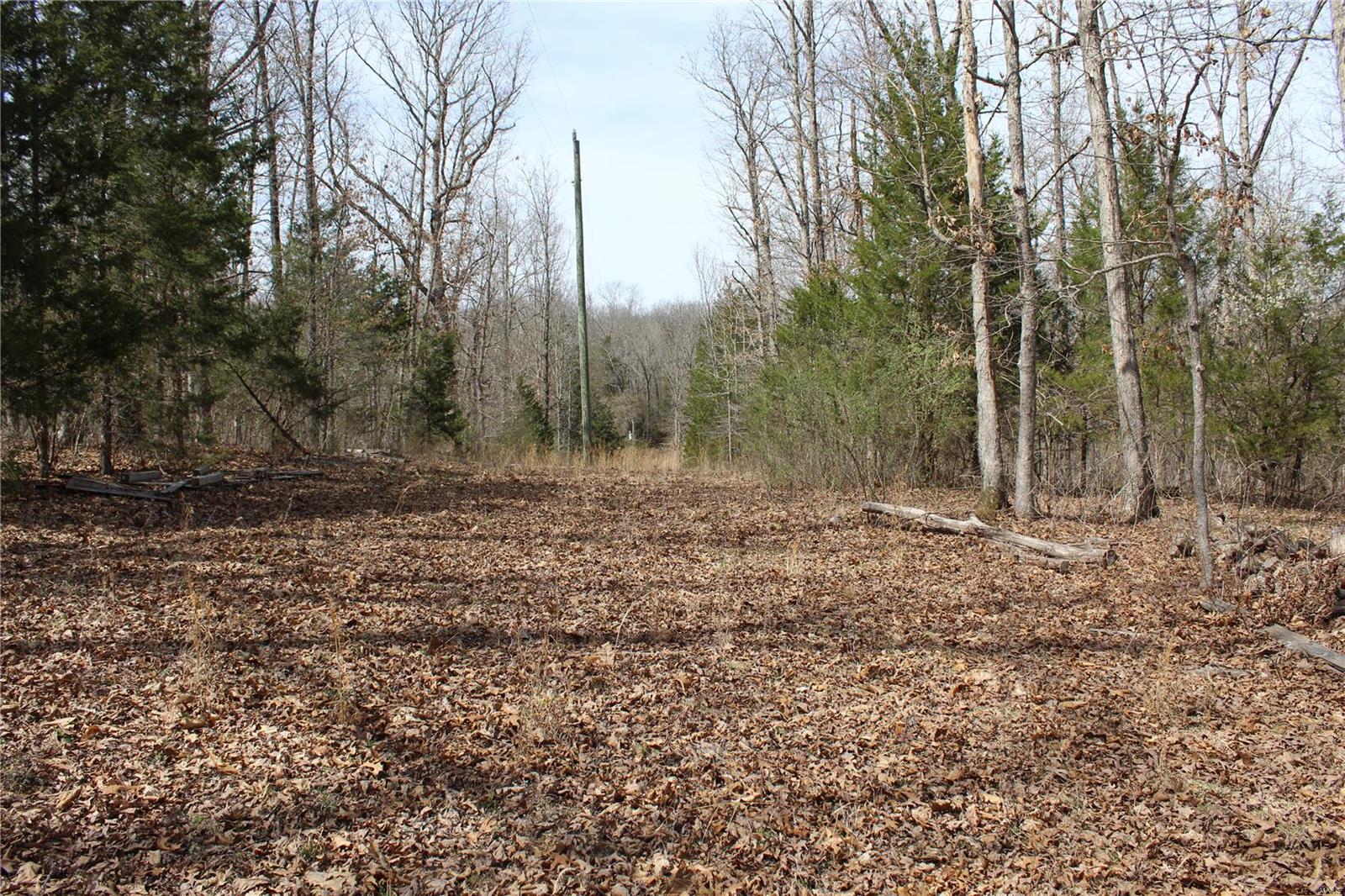 12 Berryman Cutoff Property Photo 8