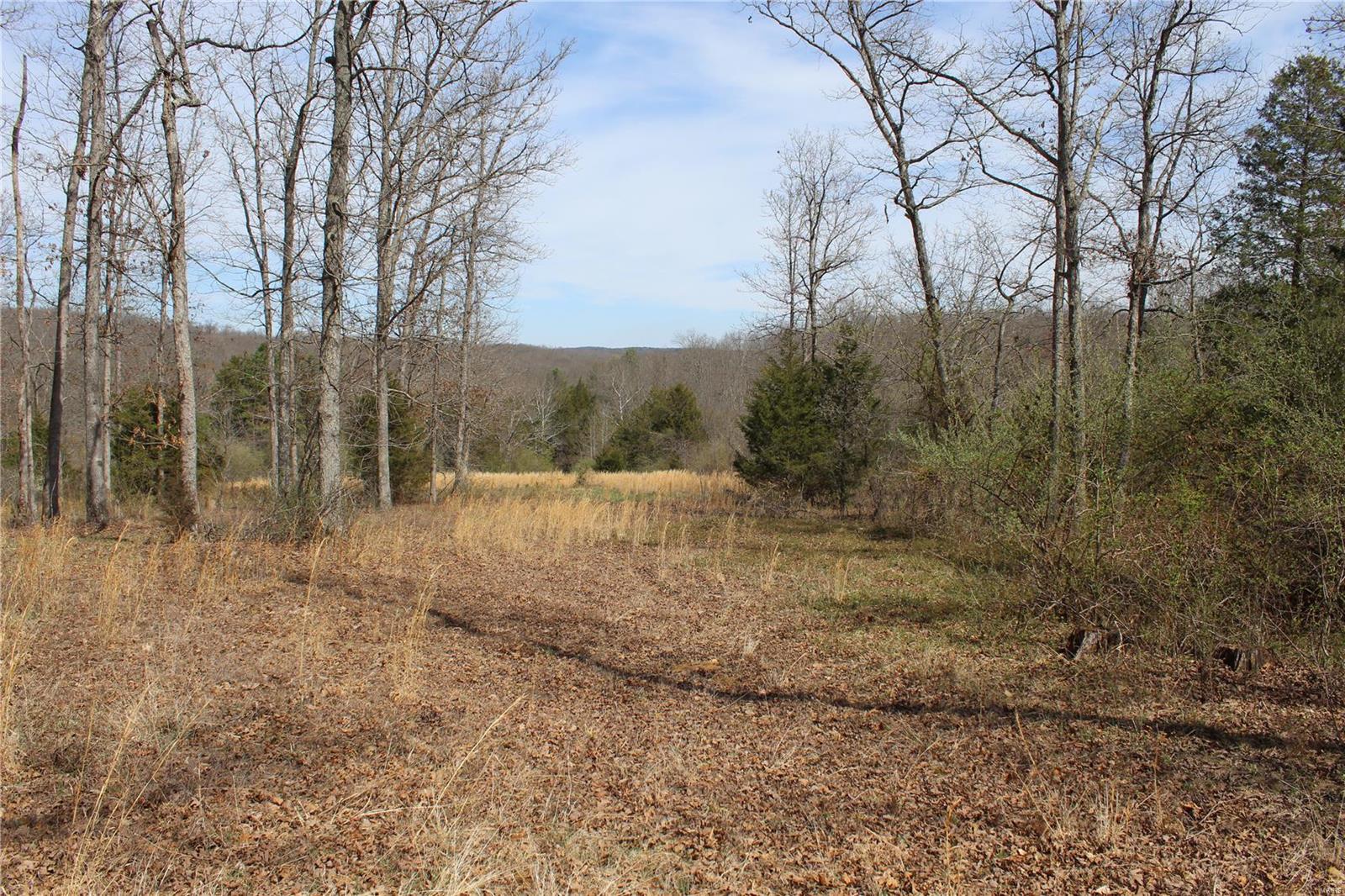 12 Berryman Cutoff Property Photo 9