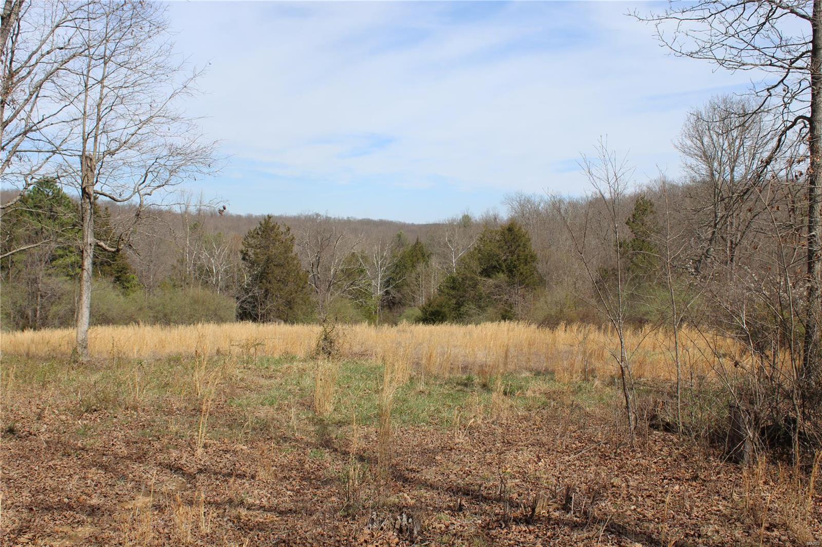 12 Berryman Cutoff Property Photo 11