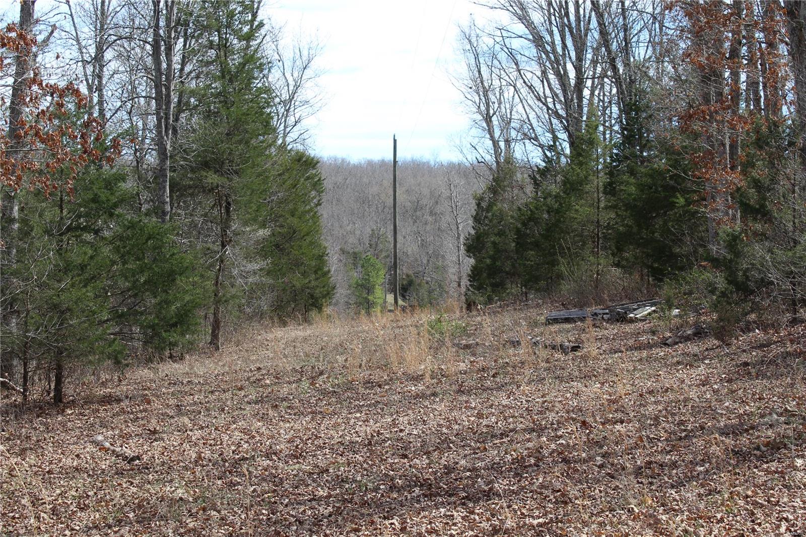 12 Berryman Cutoff Property Photo 12