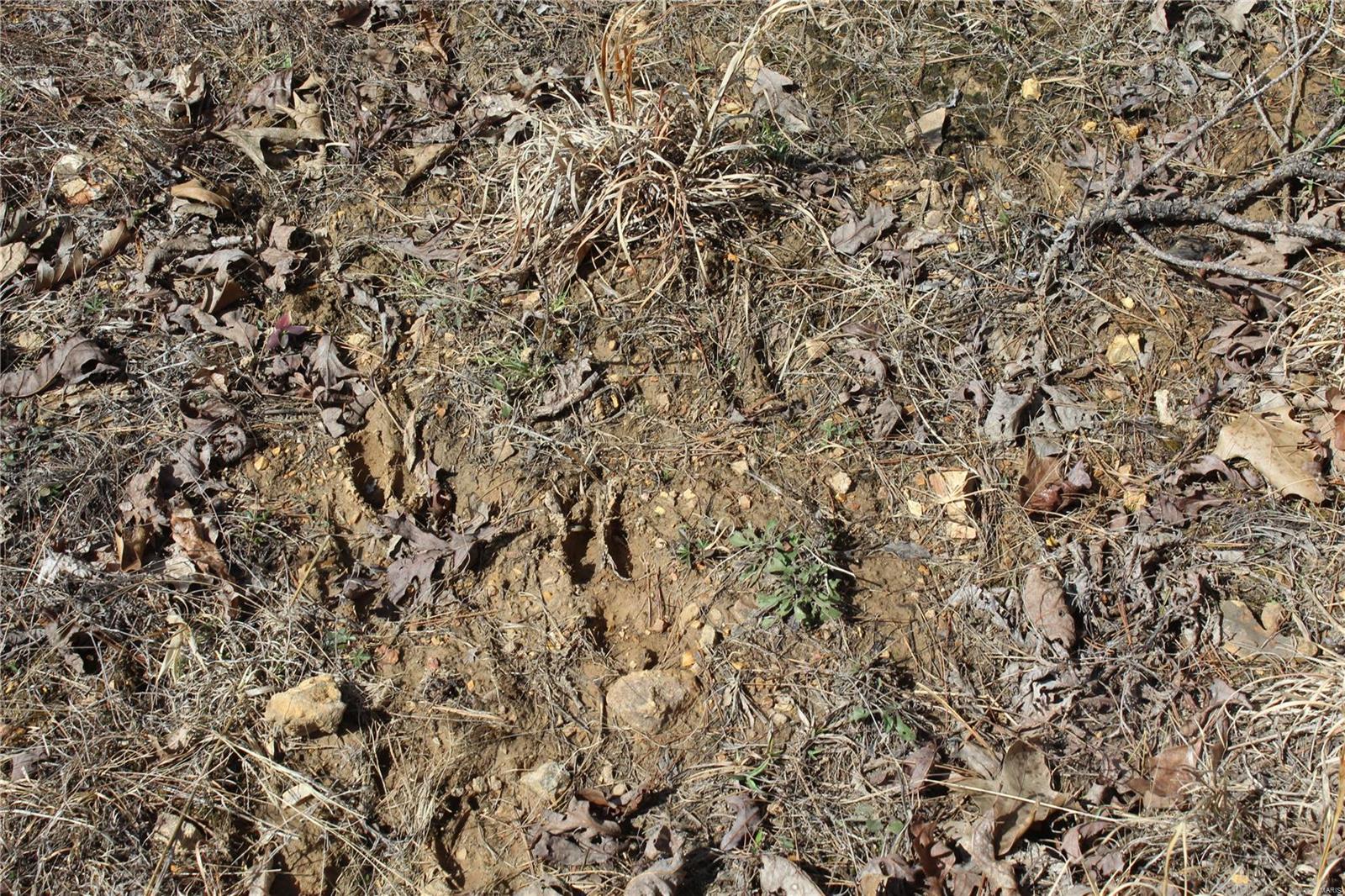 12 Berryman Cutoff Property Photo 17