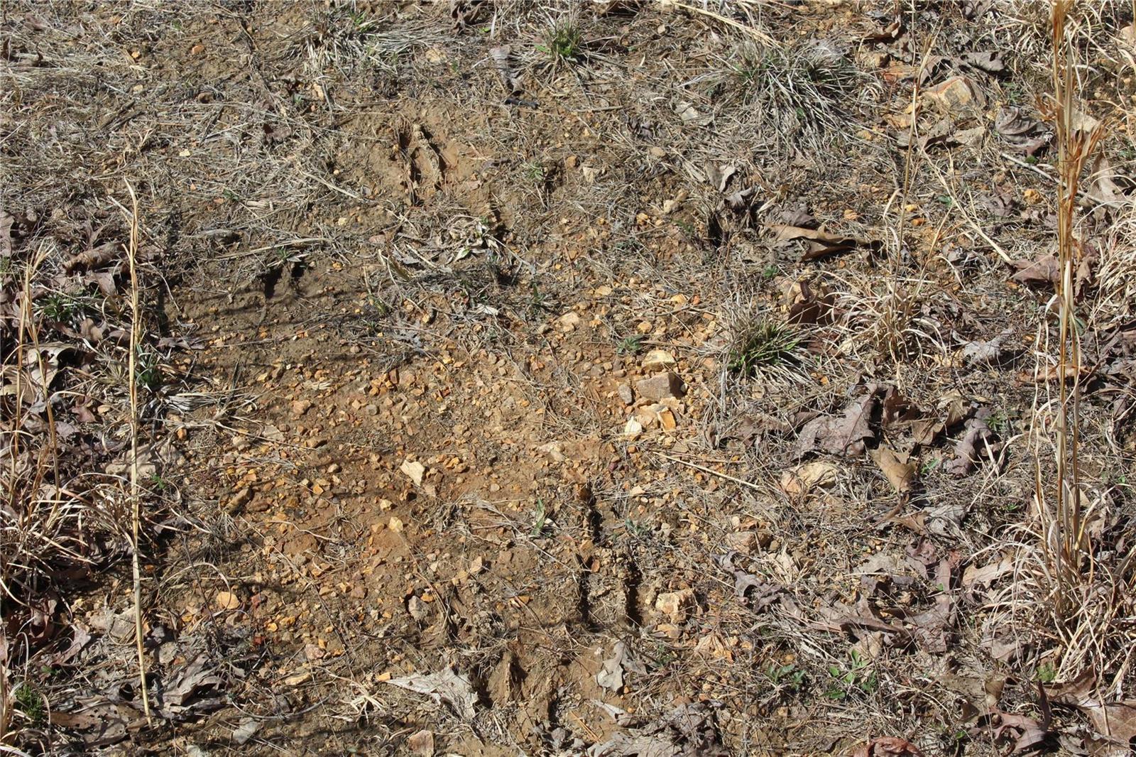 12 Berryman Cutoff Property Photo 18