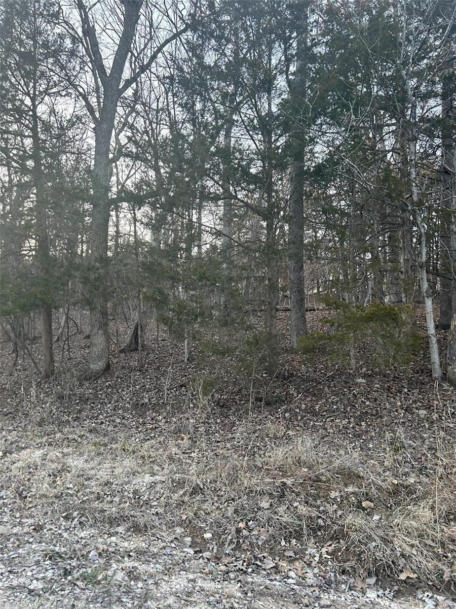 121 Briarwood Terrace Property Photo 2