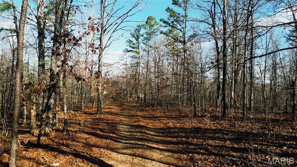 0 County Road 513 Property Photo 2