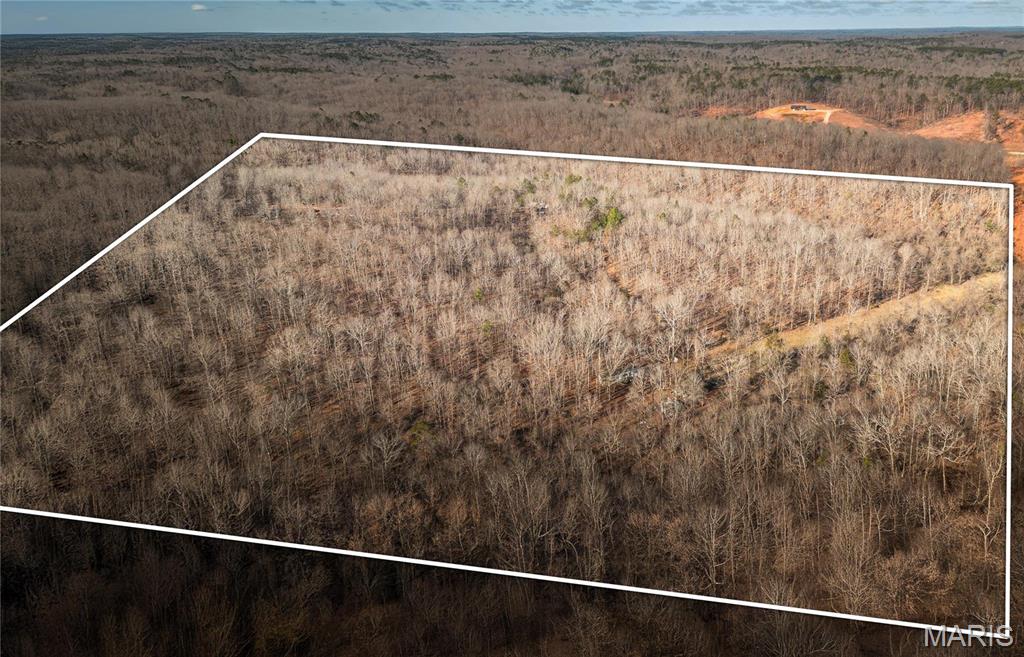 0 County Road 513 Property Photo 4