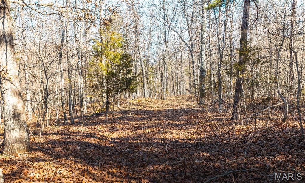 0 County Road 513 Property Photo 13