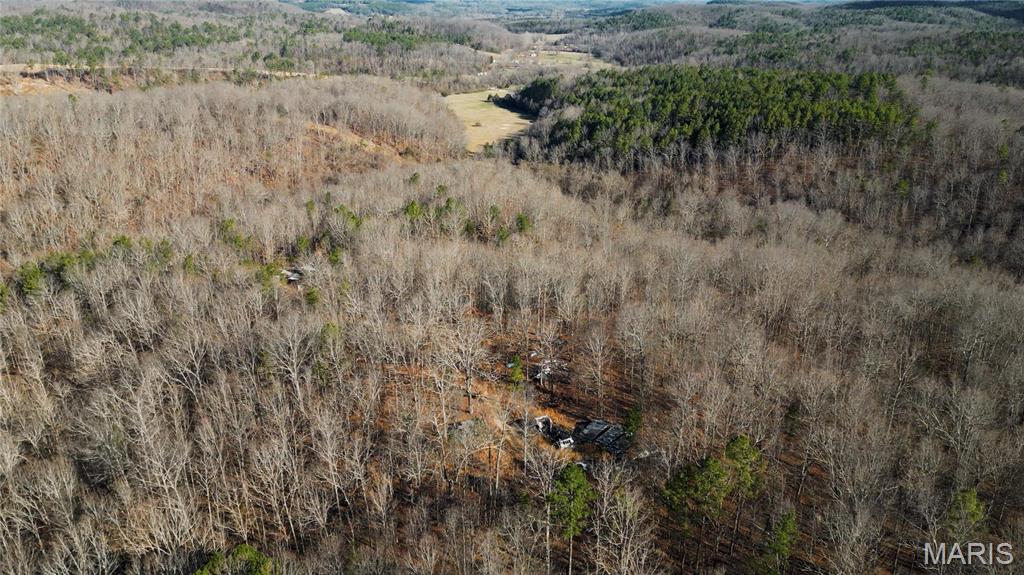 0 County Road 513 Property Photo 17