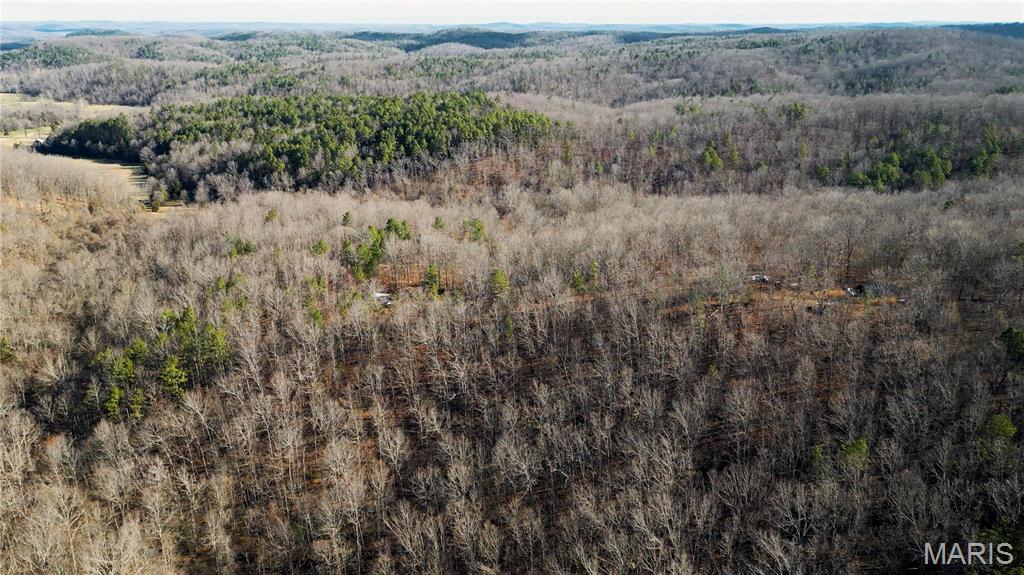 0 County Road 513 Property Photo 19
