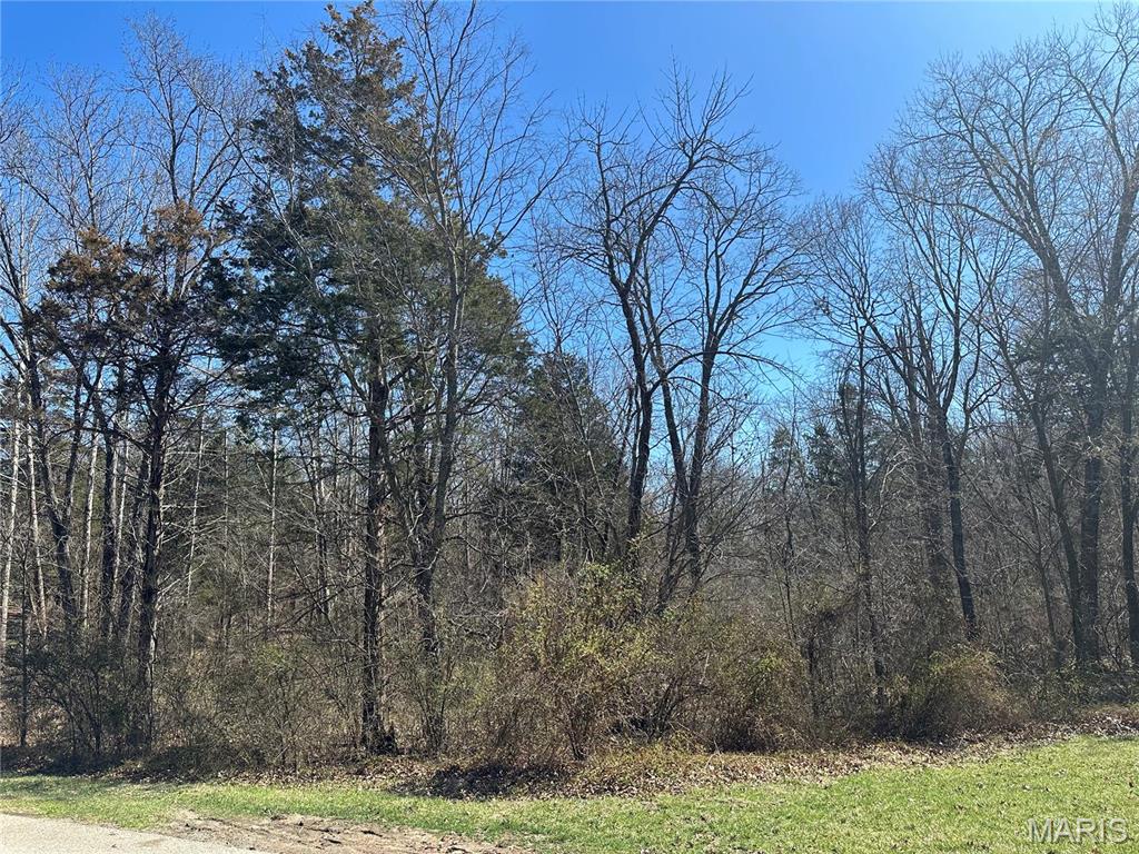 430 Mark Twain Loop Property Photo 2