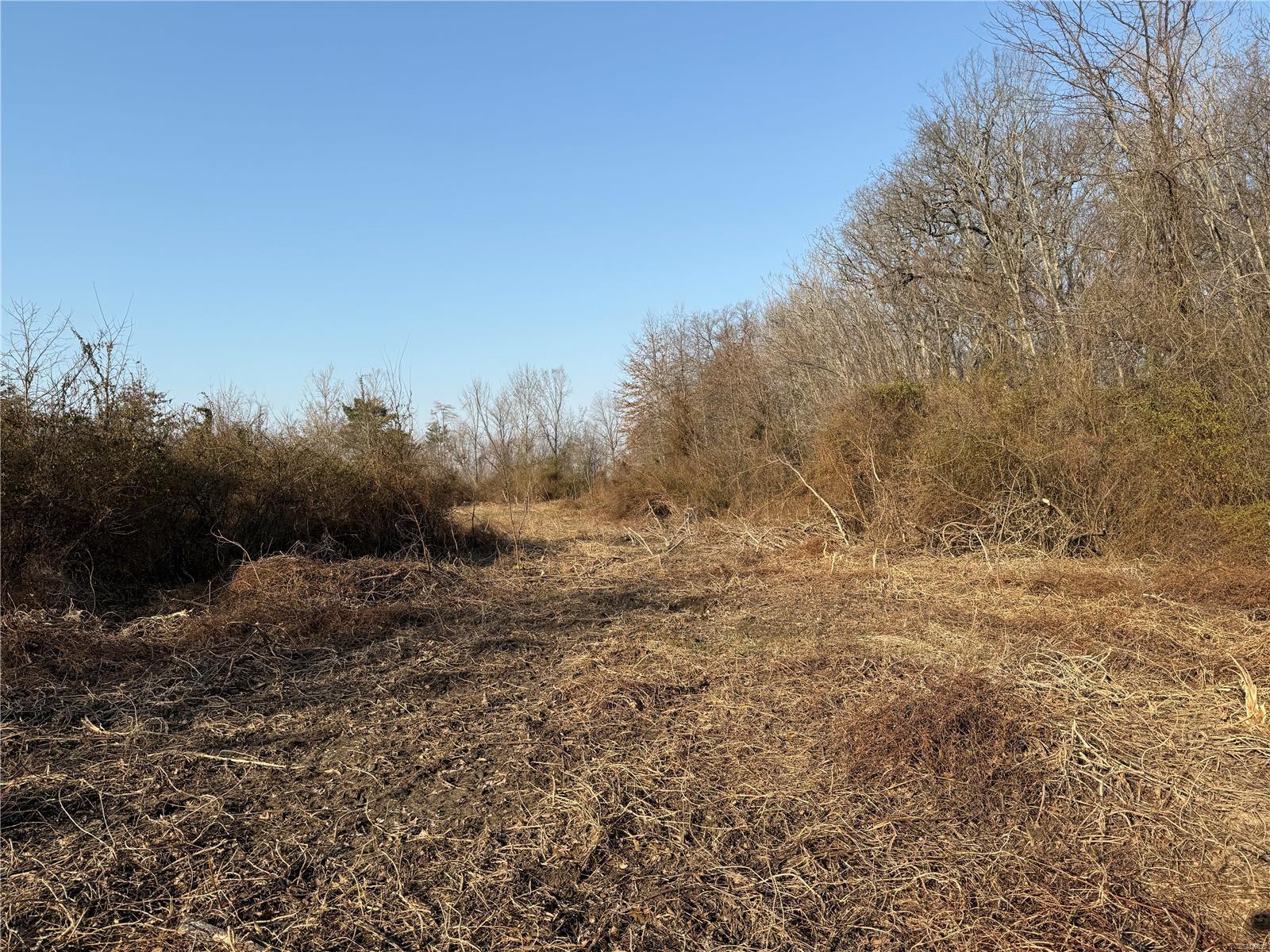 0 6.73 Ac Kaskaskia Rd Property Photo 4