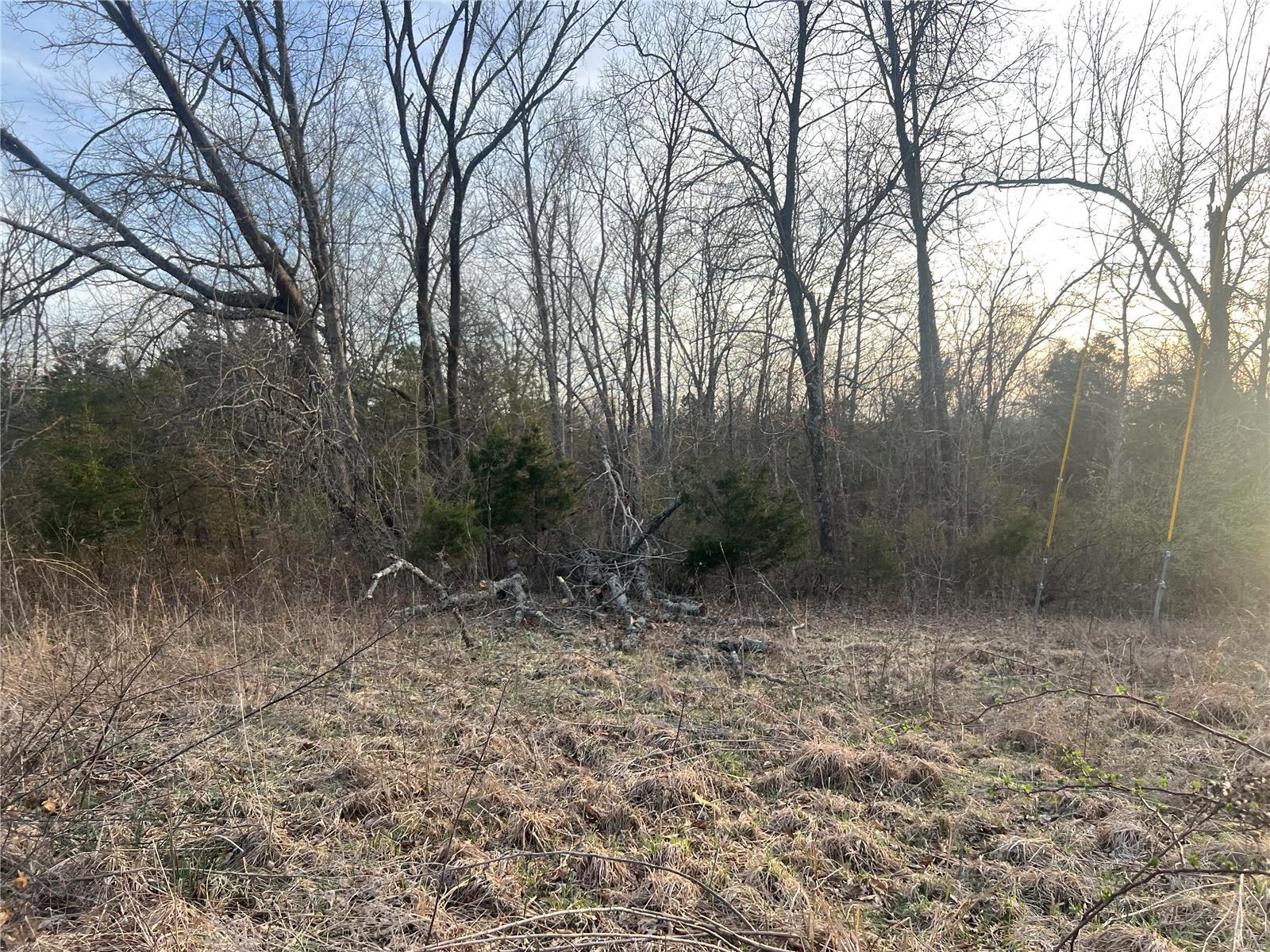 1183 Hwy J Property Photo 3
