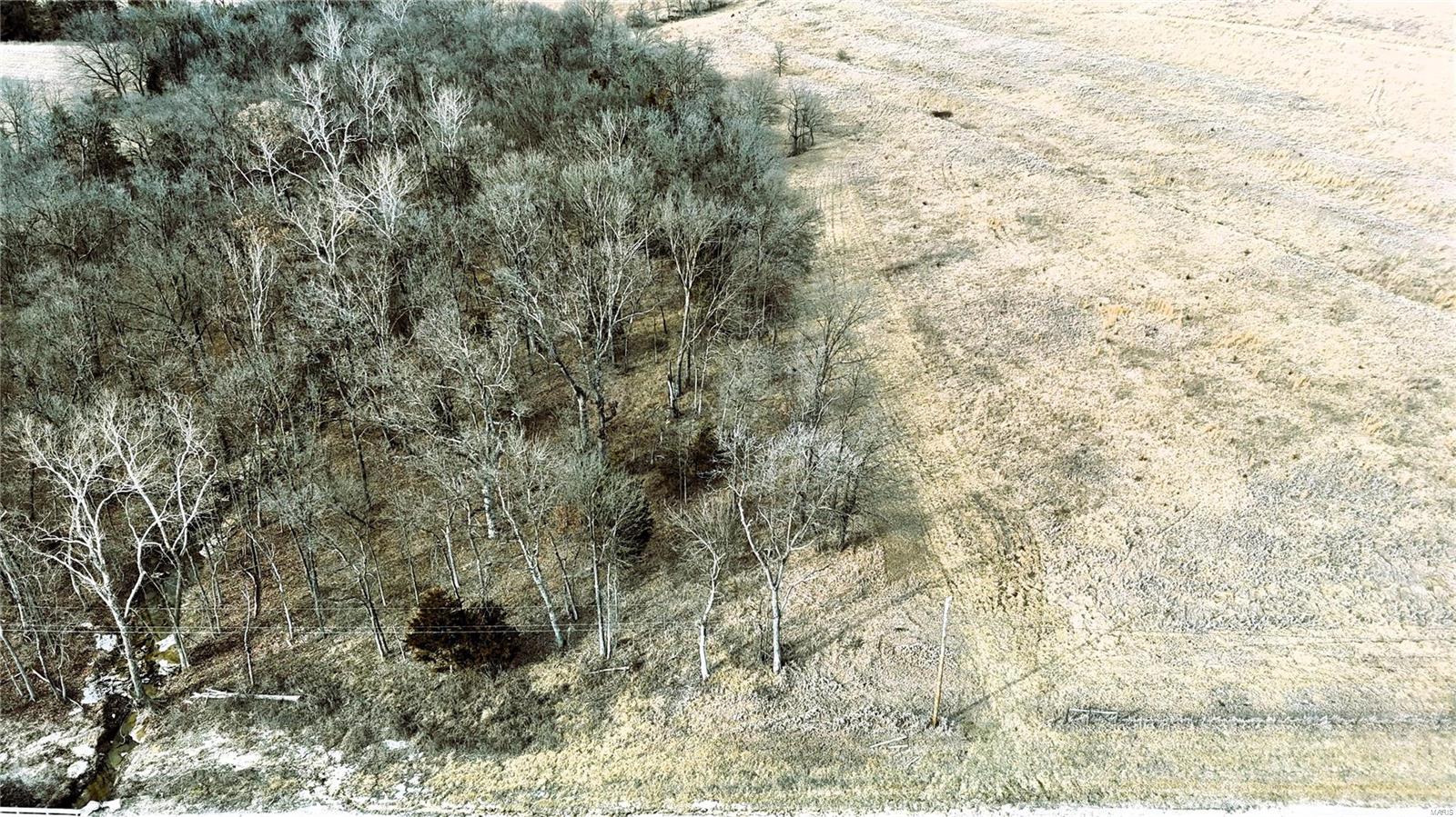 0 County Road 346 Property Photo 4