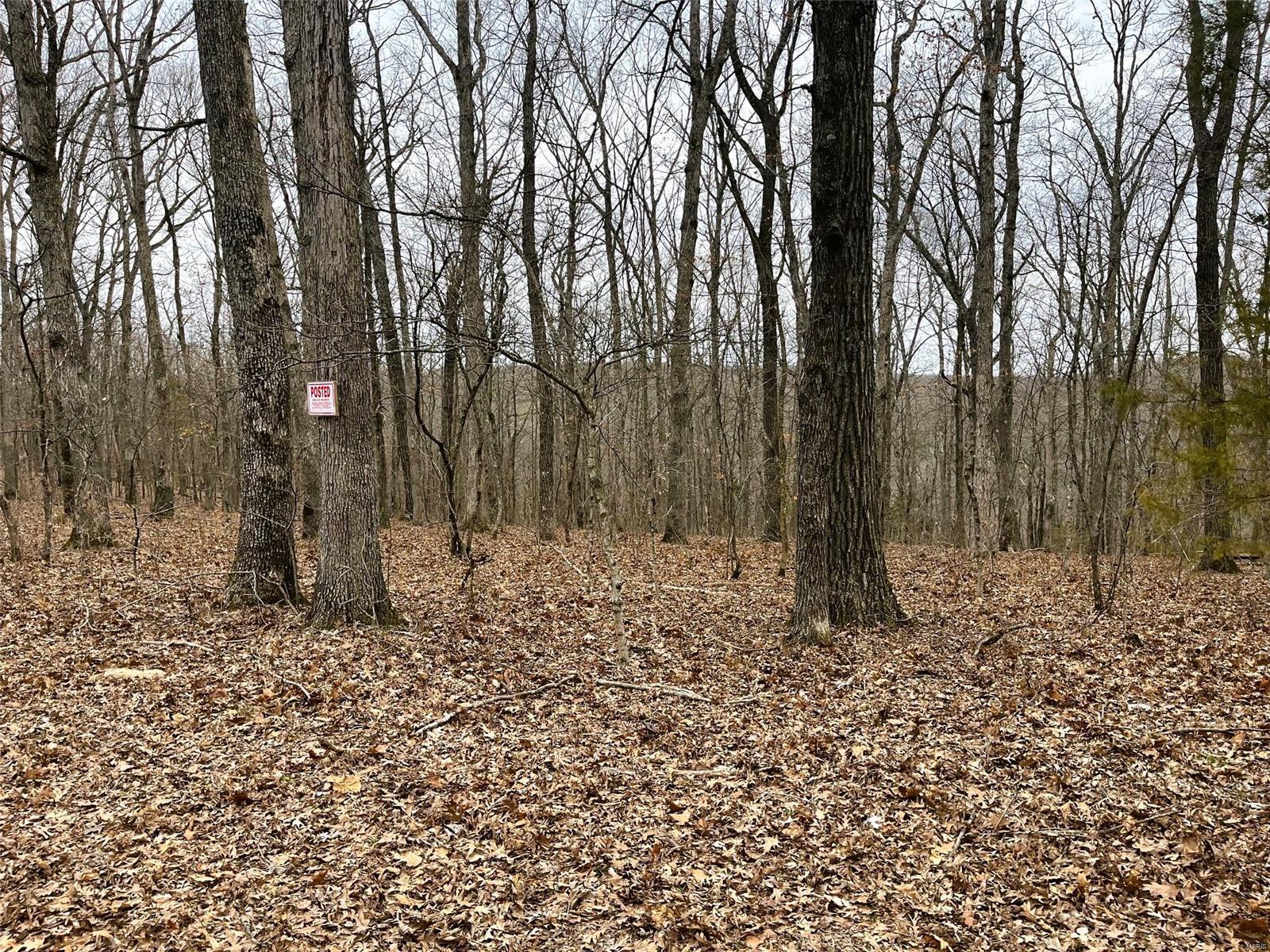 23 Turkey Trail Property Photo