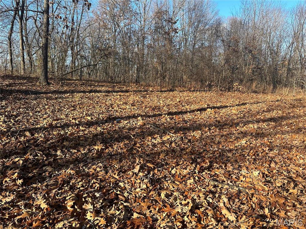 34 Wagon Creek Loop