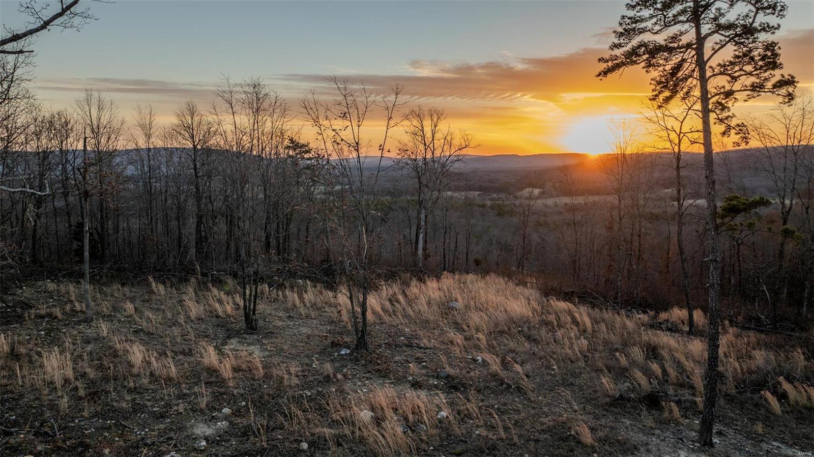 Belleview Real Estate Listings Main Image