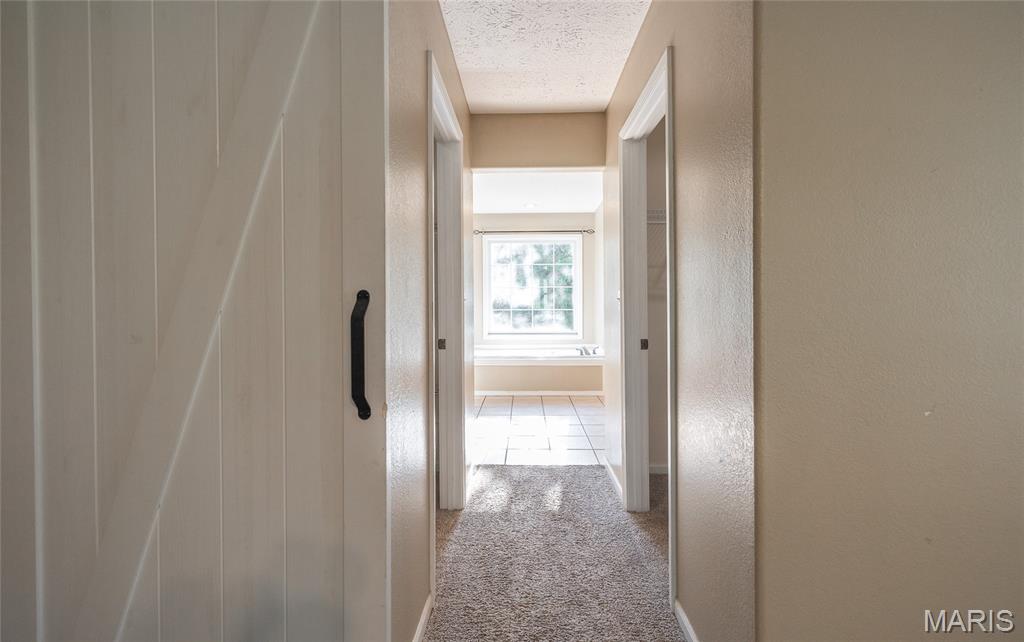 10625 Pine Needle Circle Property Photo 20