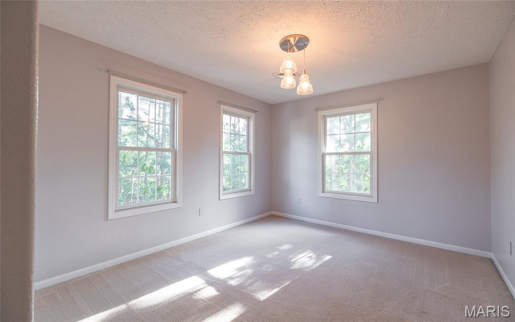 10625 Pine Needle Circle Property Photo 29