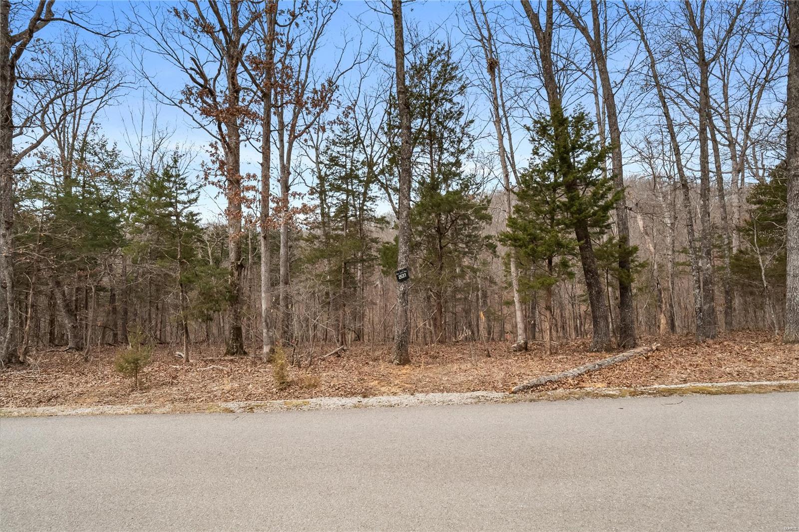 2537 Alpine Woods Drive Property Photo 2