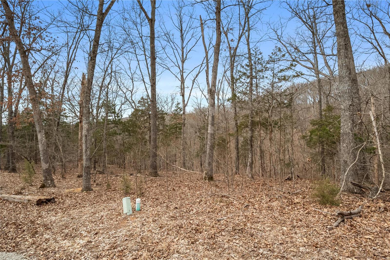 2537 Alpine Woods Drive Property Photo 3