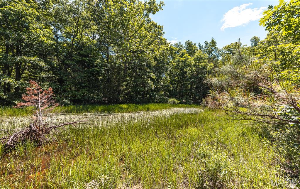 64 New Home Road Property Photo 71