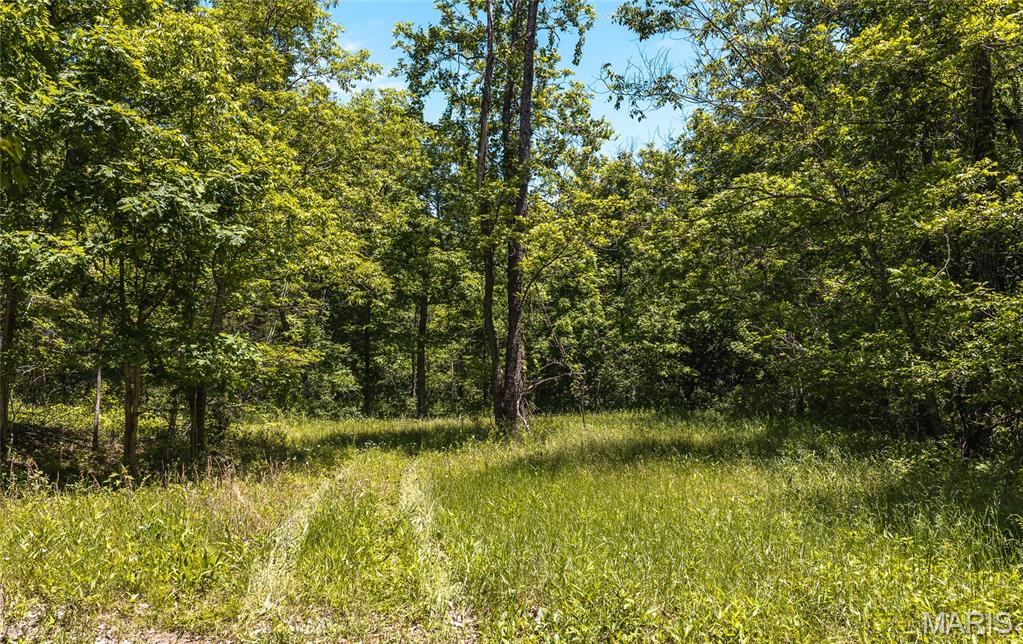 64 New Home Road Property Photo 77