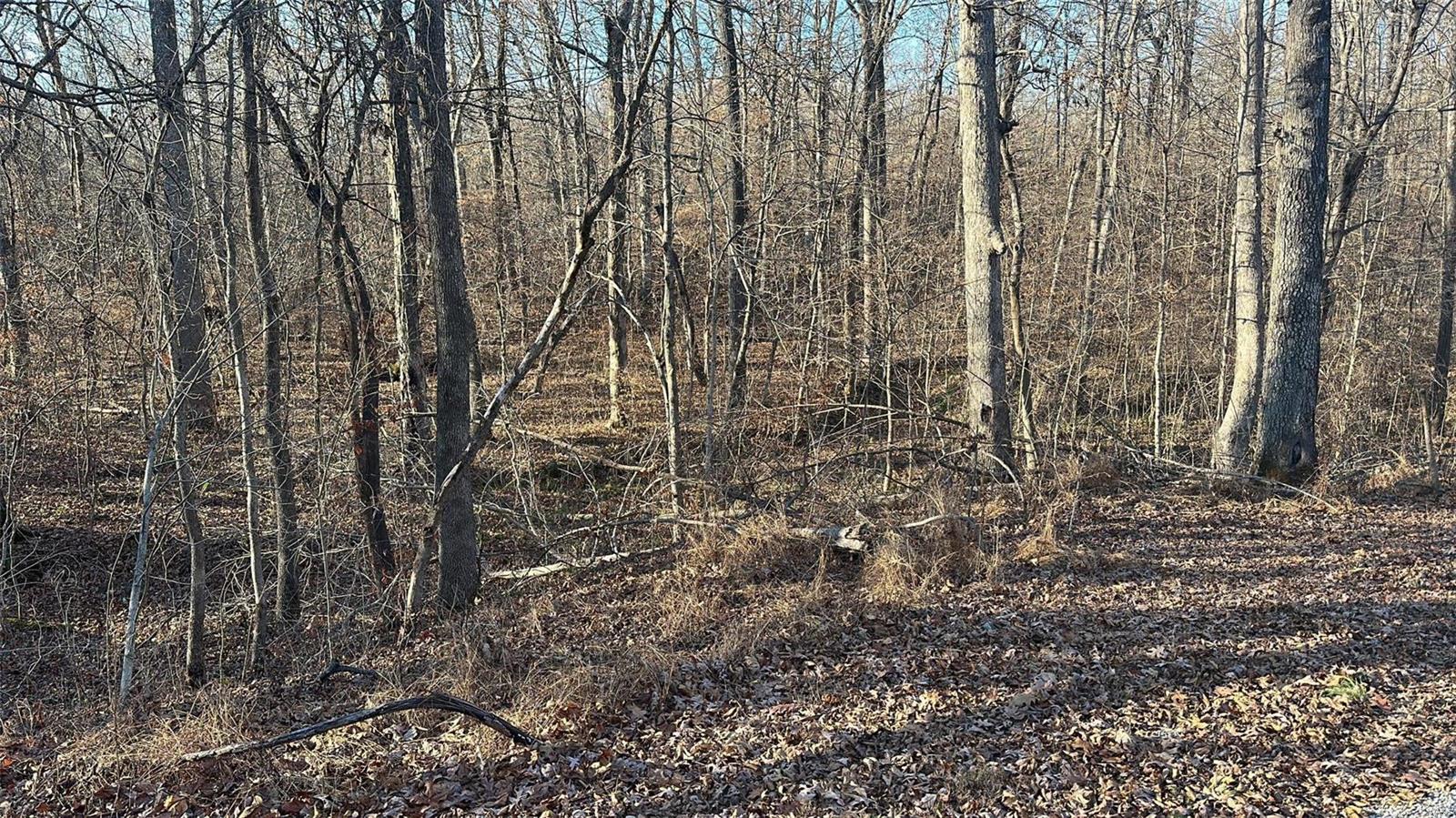 16 Wagon Creek Loop Property Photo