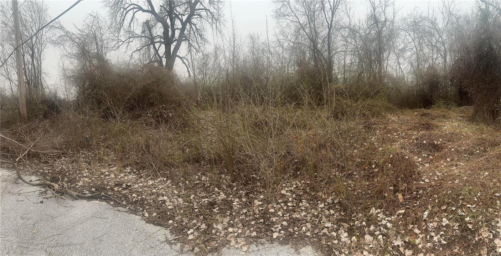 6445 Suburban Avenue Property Photo 3