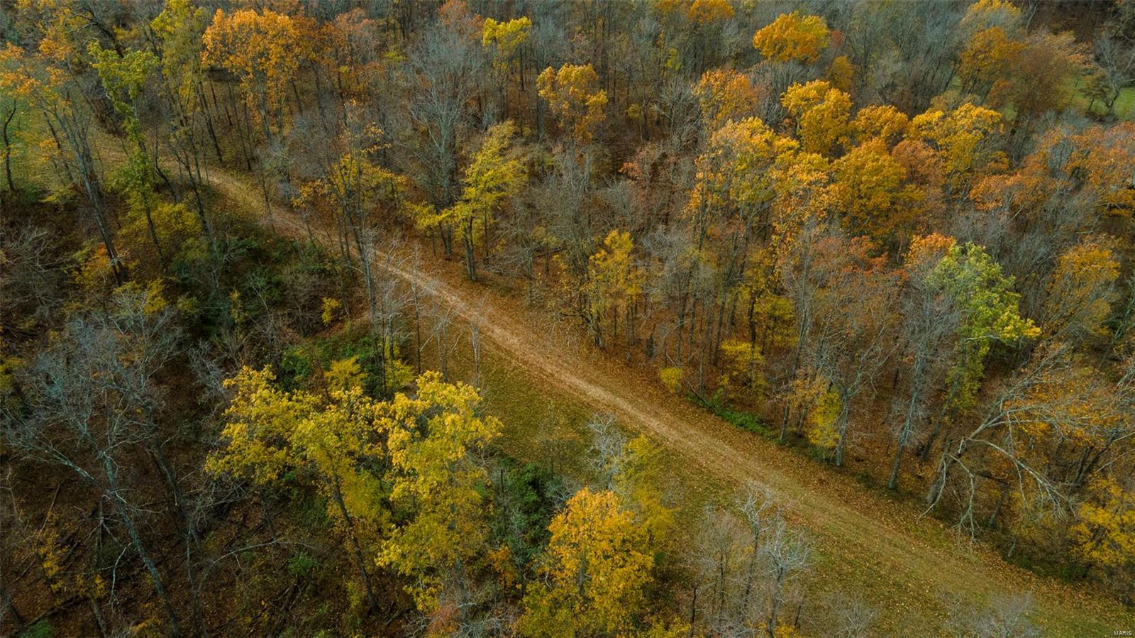 0 County Road 259 Property Photo 6